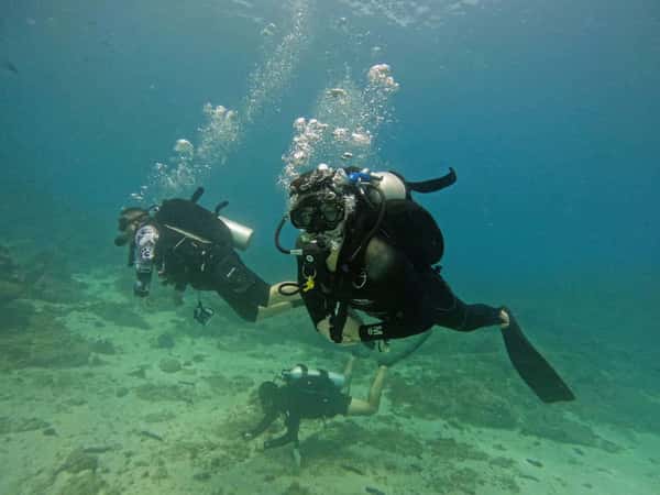 Дайвинг для начинающих с инструктором в Фуджейре (без трансфера)