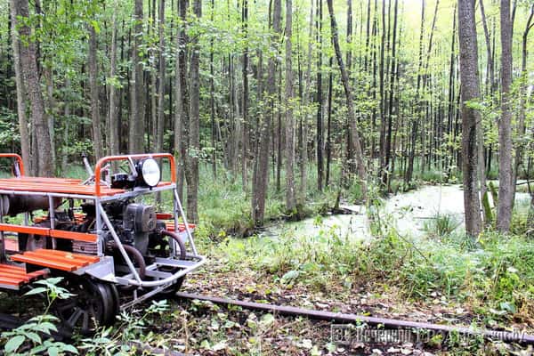 На узкоколейке сквозь завесу времени из Бреста