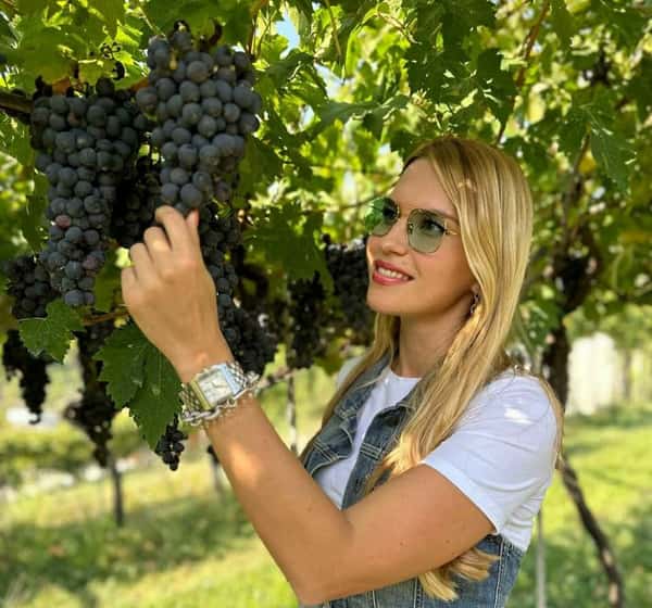День гедониста: вина и закуски в предместье Вероны