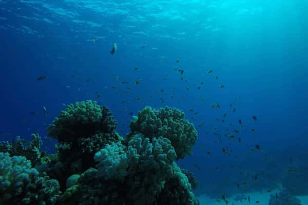 Морская прогулка на яхте к затонувшему кораблю - остров Тиран