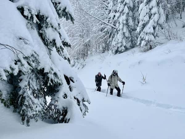 На снегоступах - по горам Красной Поляны