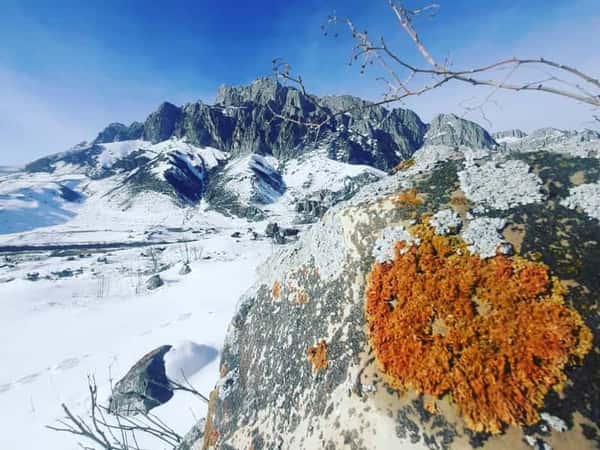 Водопад Жемчужина Дигорское ущелье