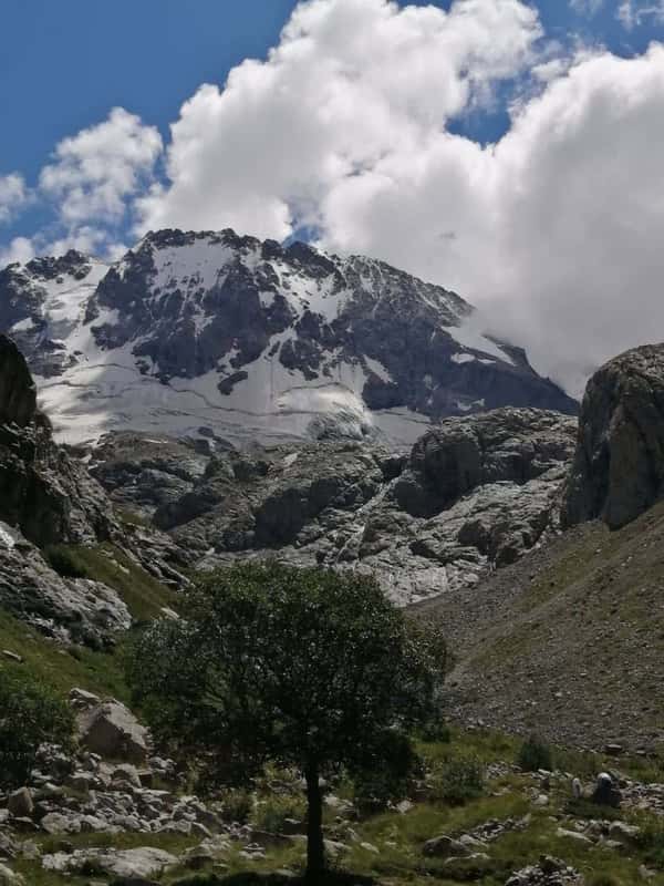 Панорама горы Безенги