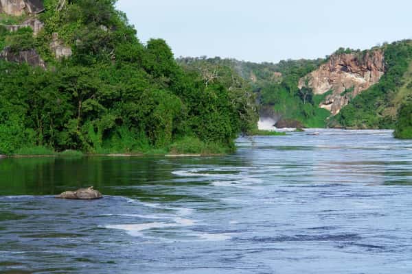 Сафари и треккинг по национальному парку Водопад Мерчисон