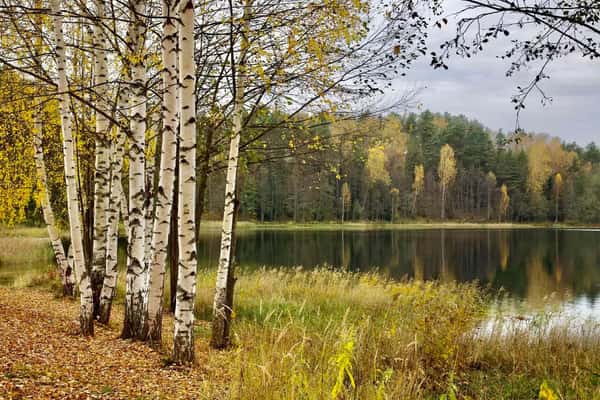 Н. Новгород - Озеро Светлояр - Шереметевский Замок. Осень-зима