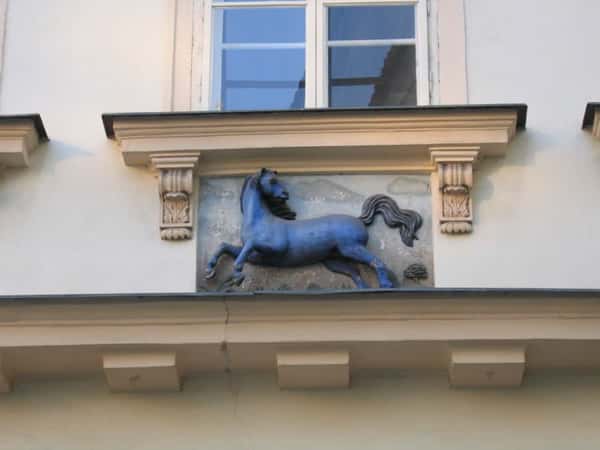 Магические защитники города