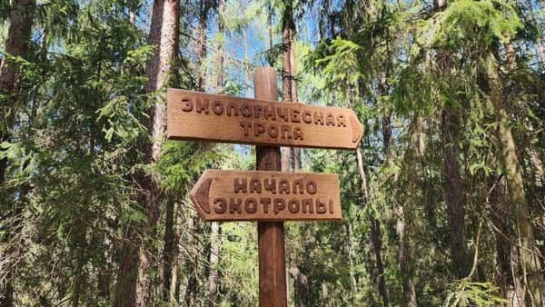 Голубые озера из Витебска