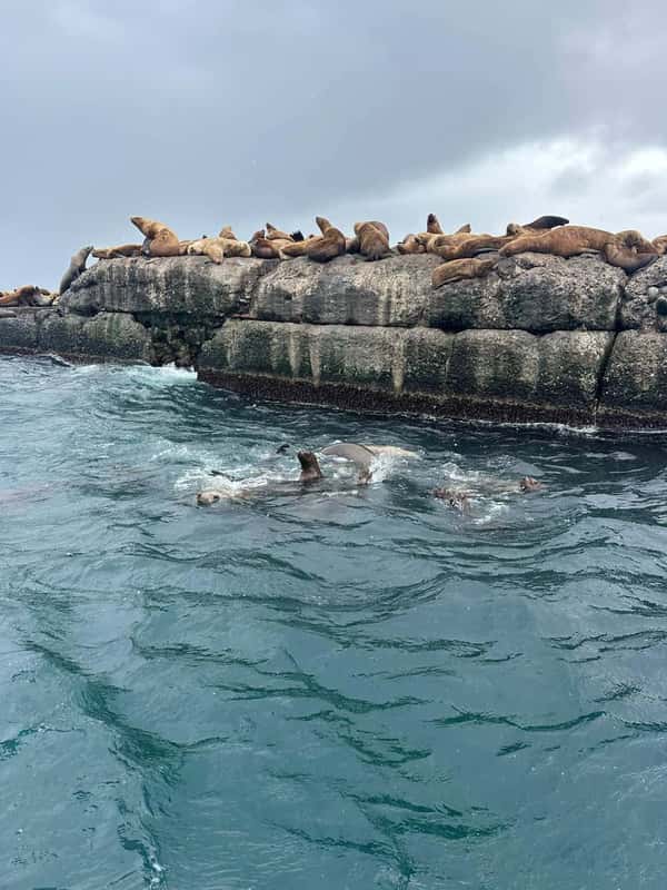 Юго-западное кольцо Сахалина