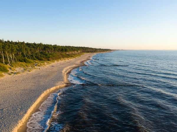 На автобусе к Куршской косе и Зеленоградску