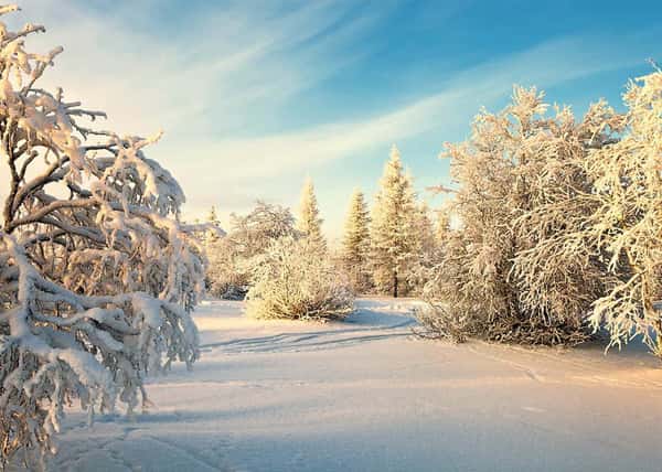 Узоры северной зимы. Архангельск