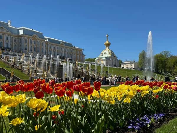 Парк и фонтаны Петергофа (всё включено)