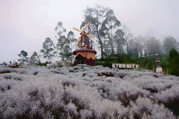Восточный Бали: храмы, поля эдельвейсов, дворцы и секретная точка