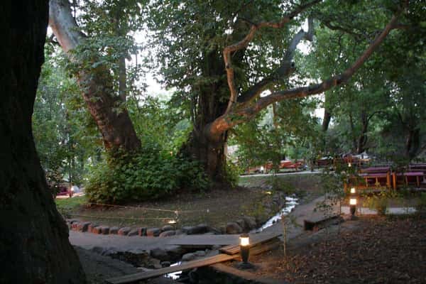 Из Ташкента в горы Юго-Западного Тянь-Шань