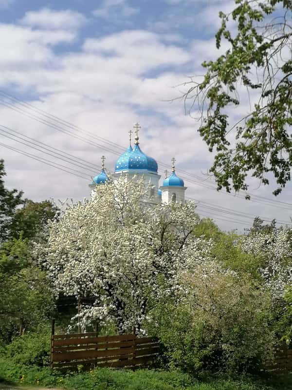 Привези мне из Торжка