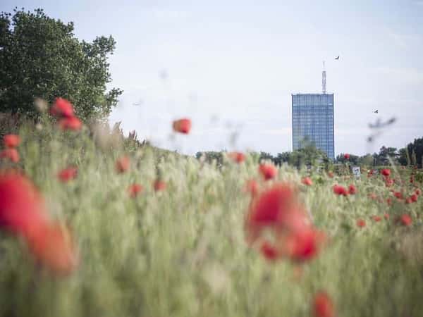 Белград - город на границе двух культур