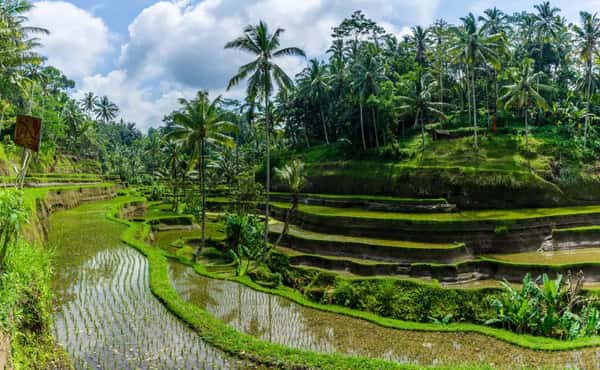 Влюбиться в волшебный Бали за один день