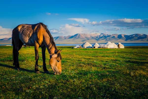 Тур по главным местам Киргизии с проживанием в юрте: горы, водопады и марсианские виды