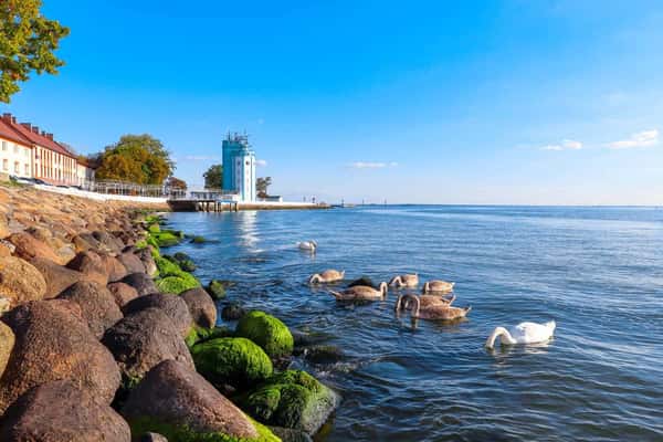 По морским просторам на катере из Балтийска