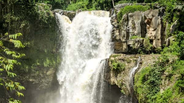 Бали: водопады в джунглях и древний храм