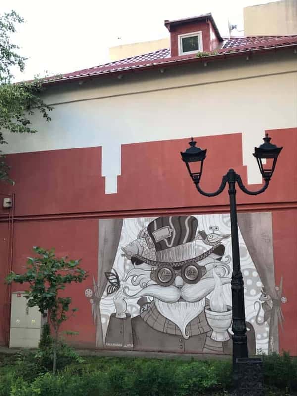 Зеленоградск и Коты