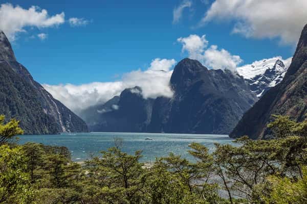 Новая Зеландия: невероятная природа, хоббиты и контрасты городов