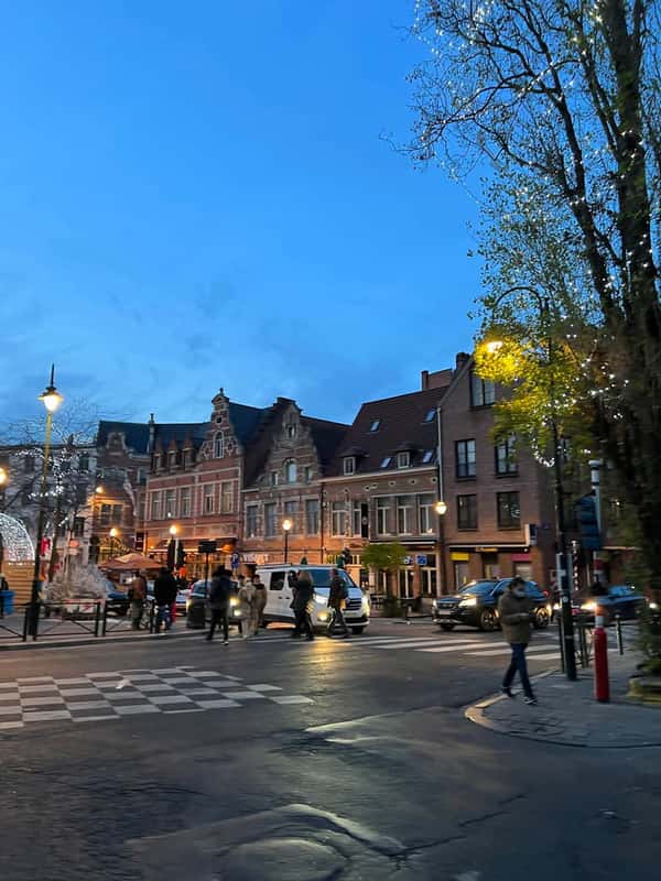 Два города: Брюссель и Антверпен за один день