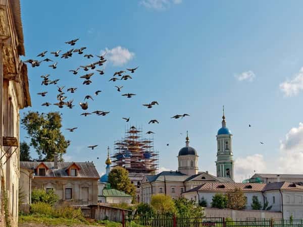 Оптина пустынь и Шамордино: культовые святыни Калужской области