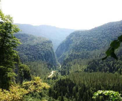 Тур в Зеленогорье: Арпатские водопады и Зеленое озеро