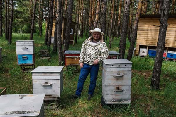 Ферма Долина пчёл