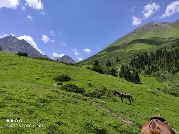Поднимаясь к вершинам и открывая вкусы: приключение в горах близ Бишкека