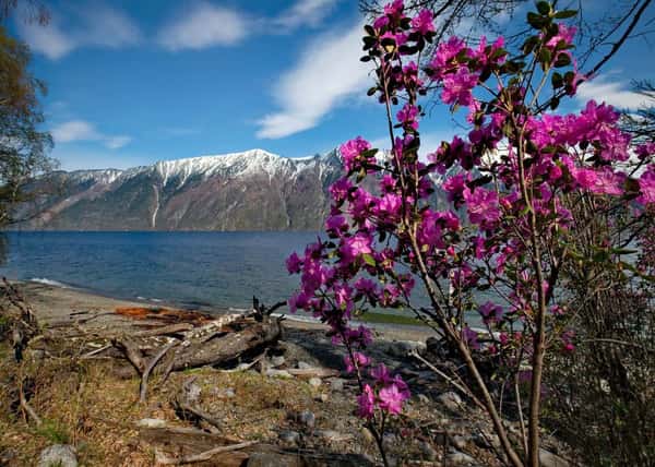 Майское озеро силы. Телецкое на Алтае