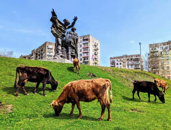 Из Тбилиси - в Чиатуру: город прошлого и будущего