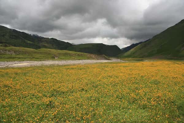 Джилы су кисловодск фото