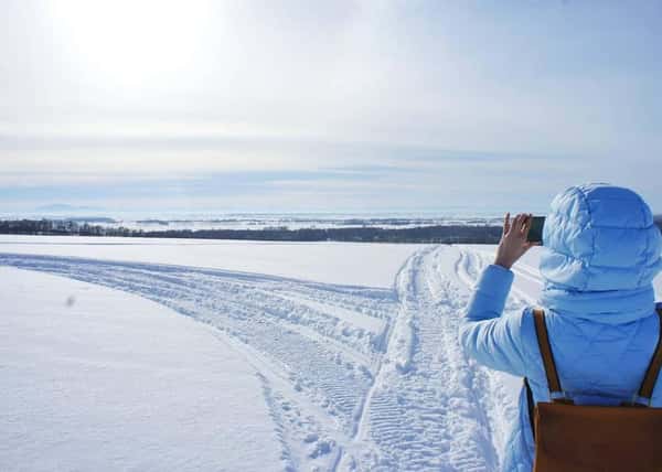 Снежная Алтайская сказка: Белокуриха и Лебединое озеро