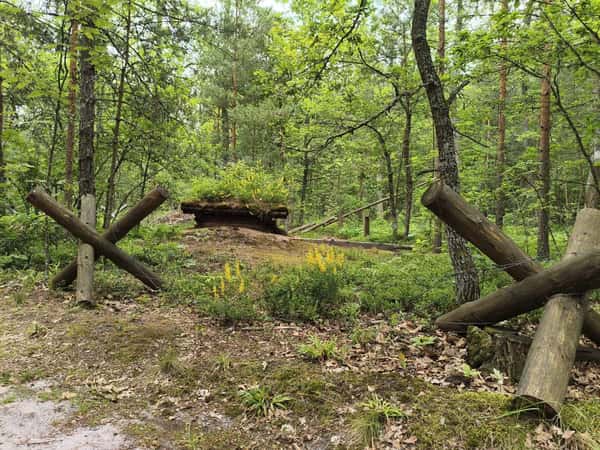 НЕтуристический маршрут. Ожившая военная история