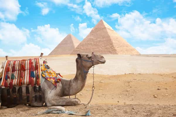 Древний Египет для детей и взрослых