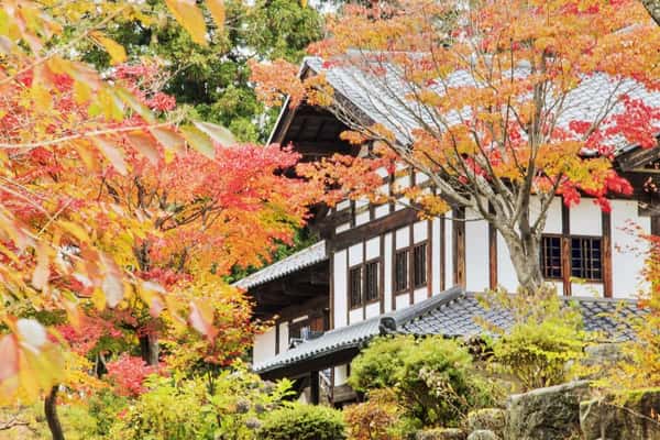Канадзава: путешествие в прошлое через сады и замки