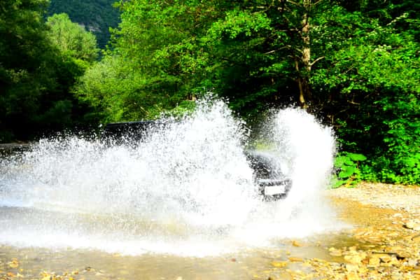 Буря эмоций вам обеспечена