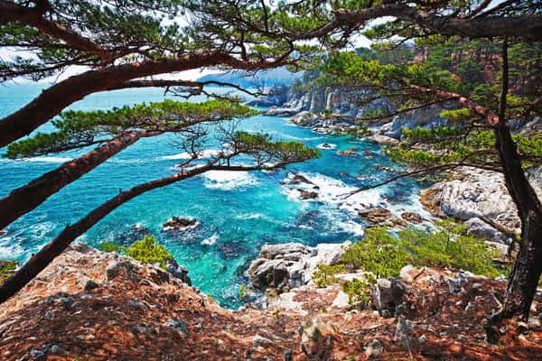 Вид со скалы на море в Андреевке