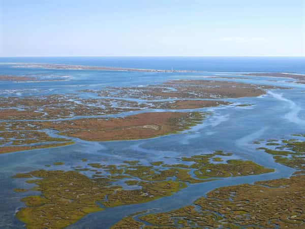 Национальный парк Риа-Формоза