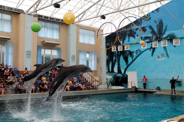 Кисловодский дельфинарий