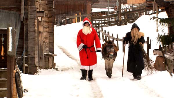 Подарки доставляются на ослах