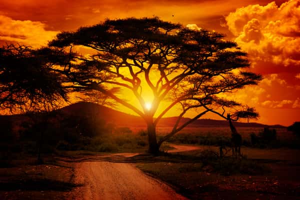 Фантастические закаты