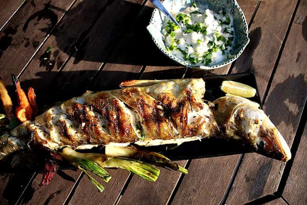 Судак на гриле