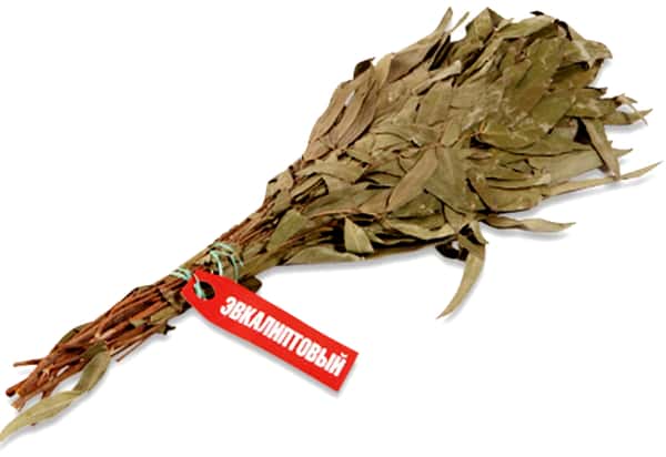 Эвкалиптовый веник