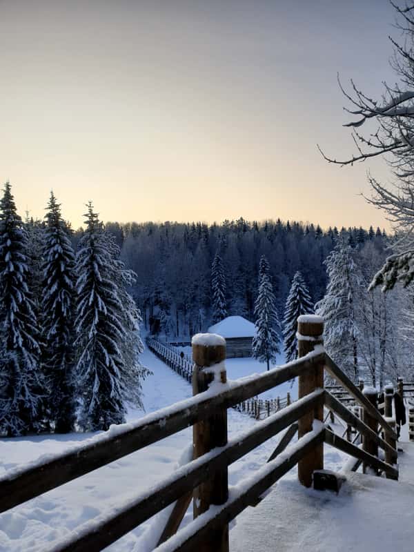 В Архангельске и области очень красивая природа