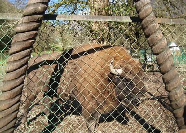 Кавказский государственный природный биосферный заповедник имени Х.Г. Шапошникова