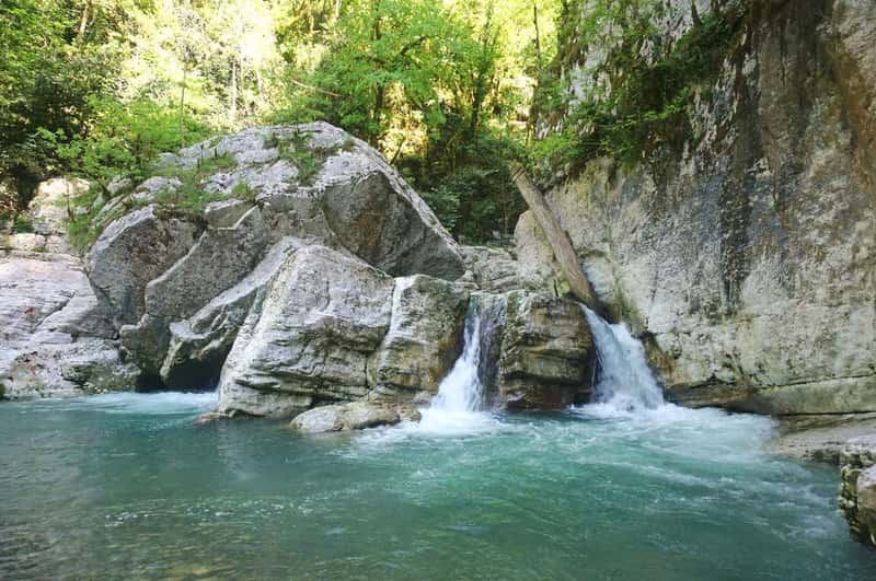 Дендропарк южные культуры в адлере фото