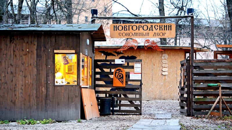 Новгородский Соколиный Двор