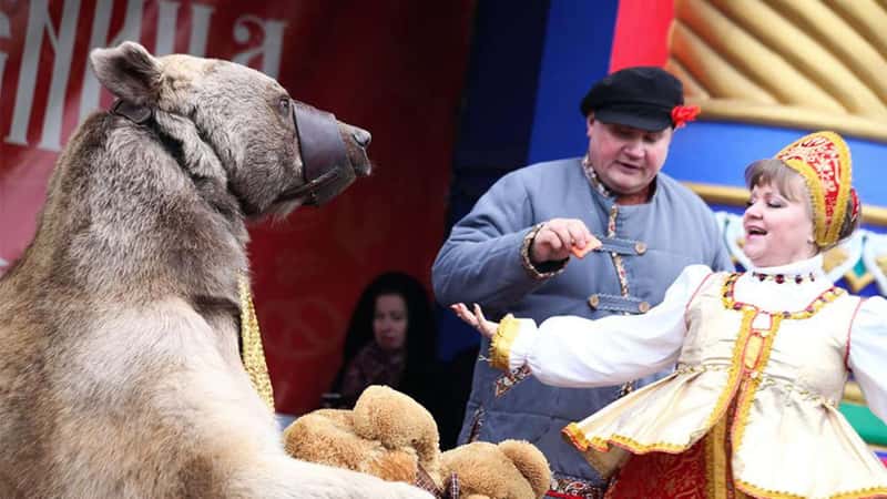 Празднование масленицы в Санкт-Петербурге